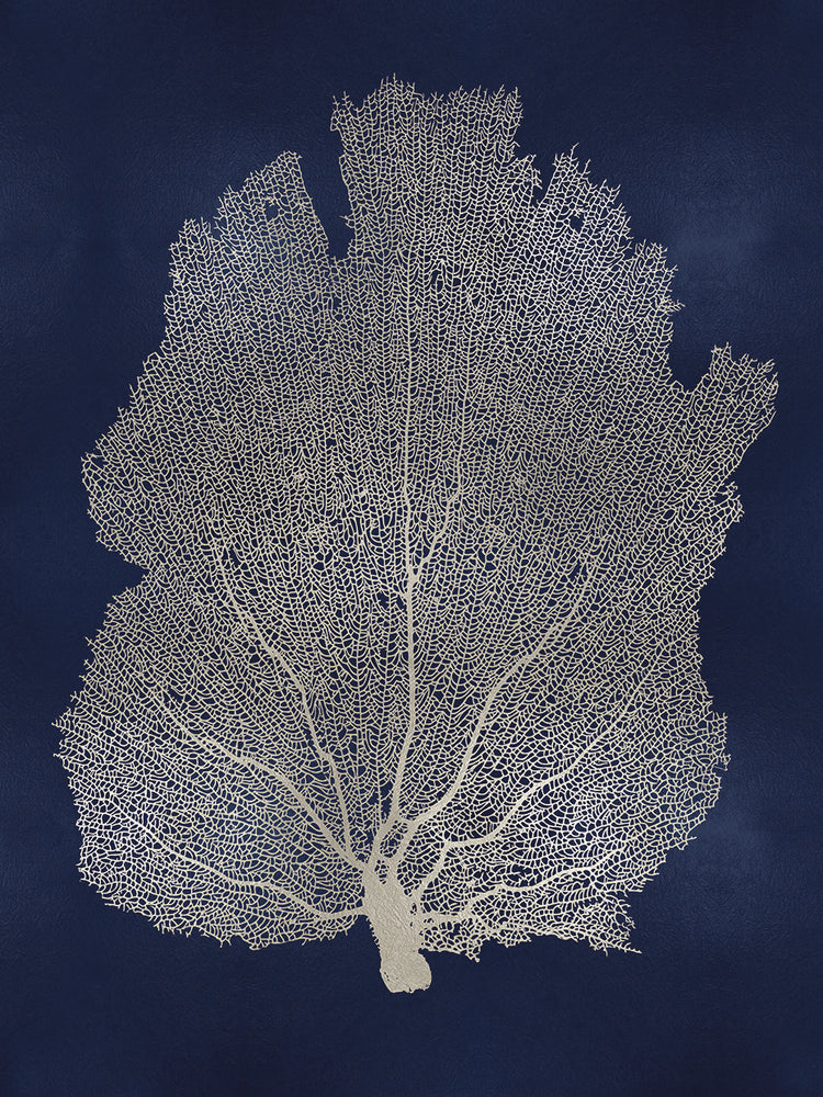 Sea Fan Silver on Blue I