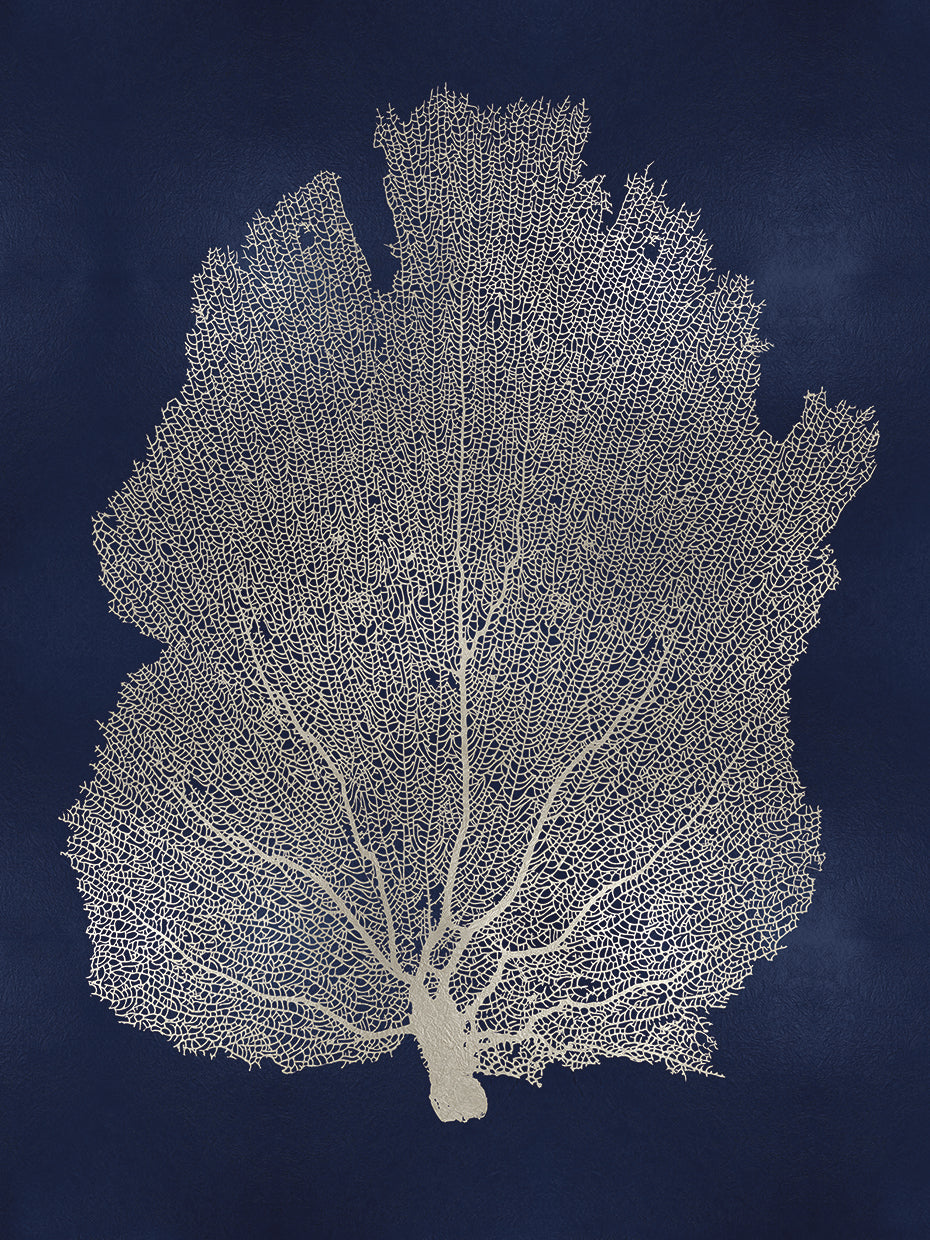 Sea Fan Silver on Blue I