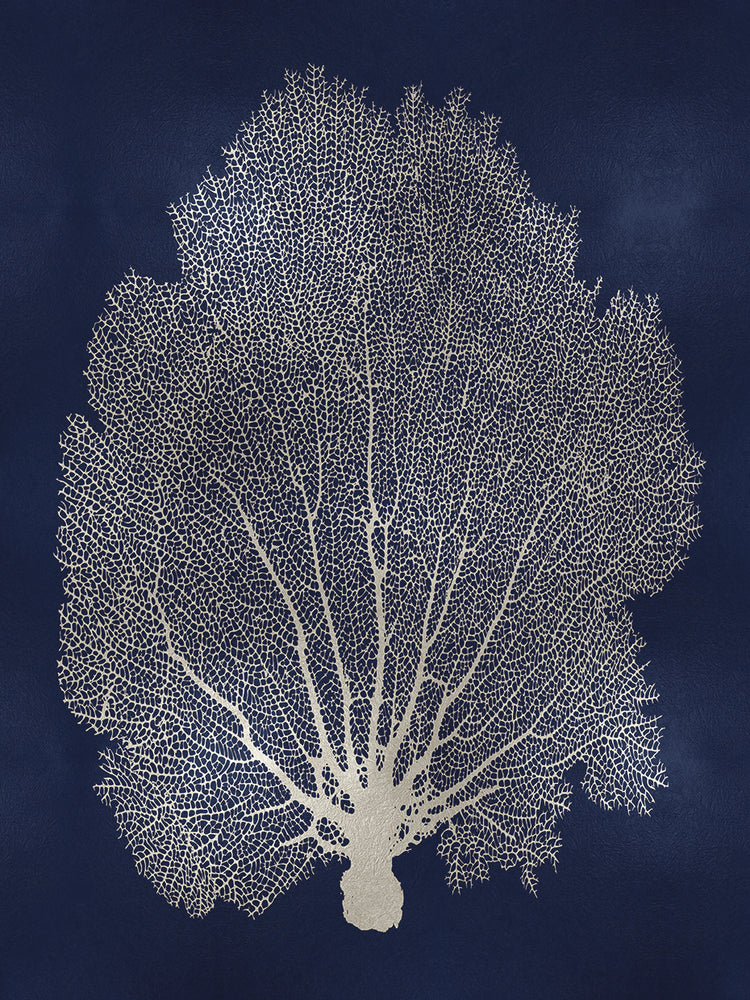 Sea Fan Silver on Blue II
