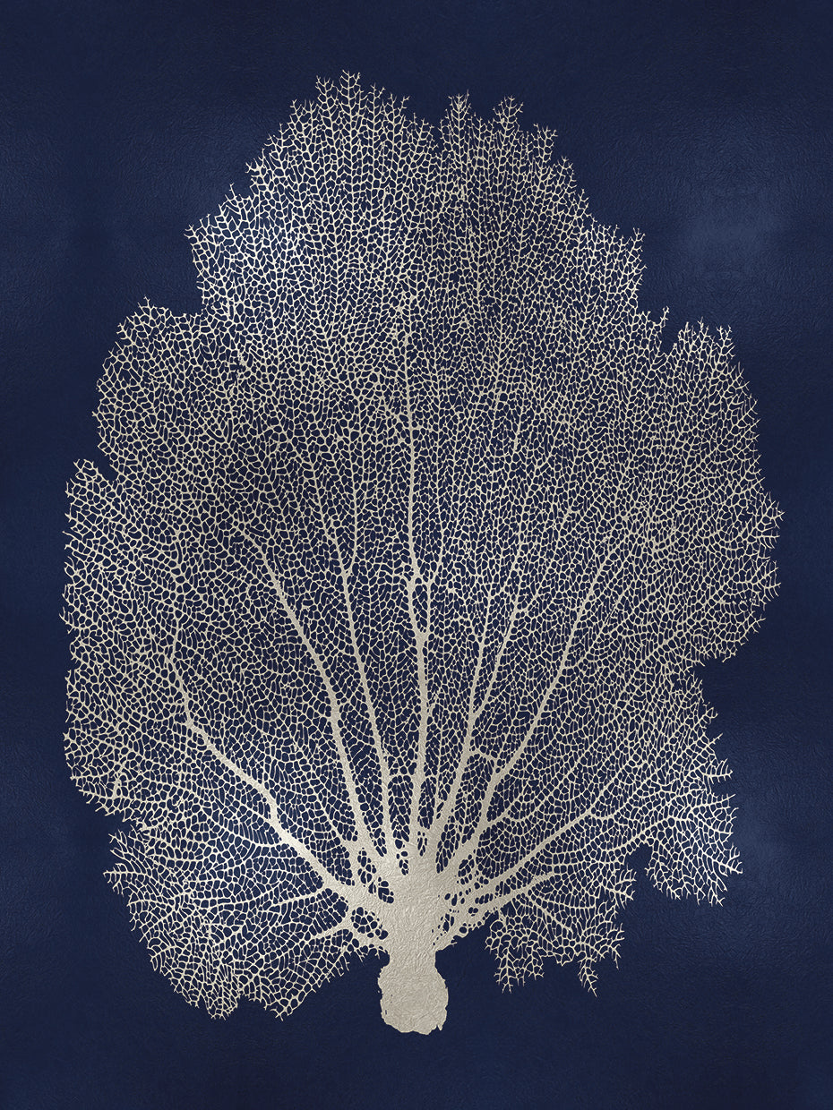 Sea Fan Silver on Blue II