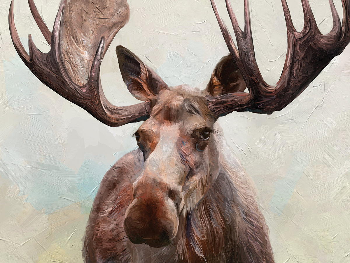 Moose
