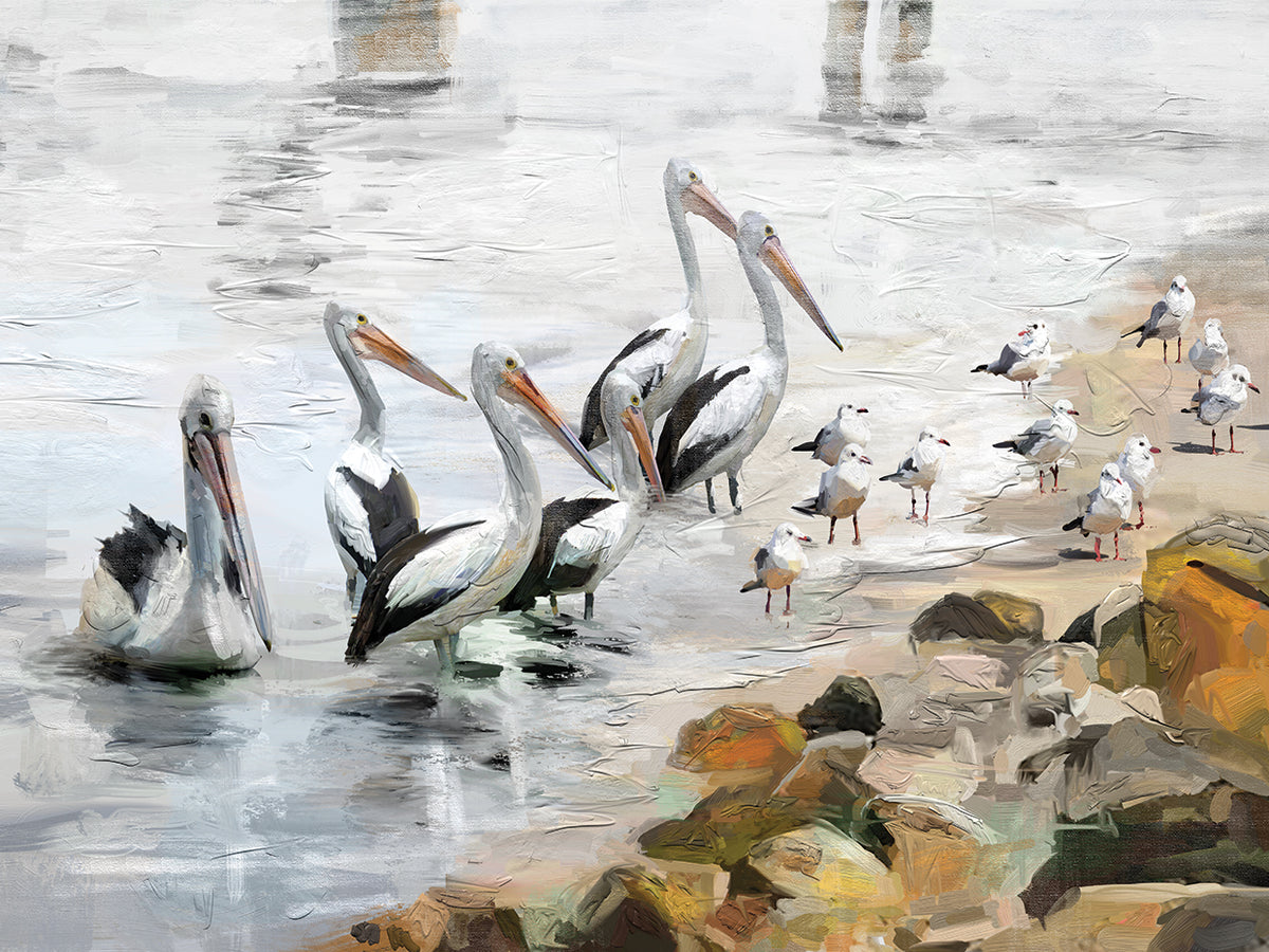 Pelican Beach