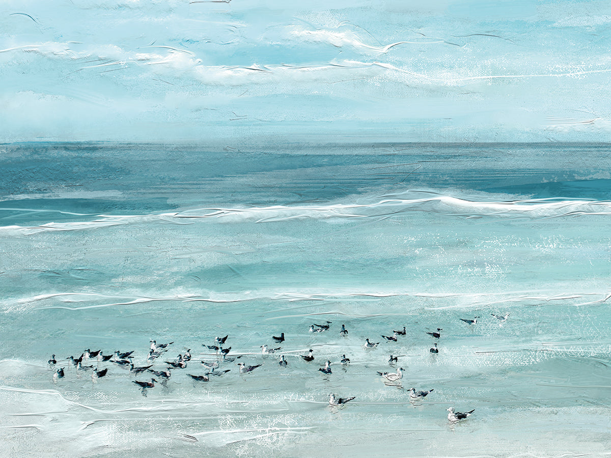 Sea Birds