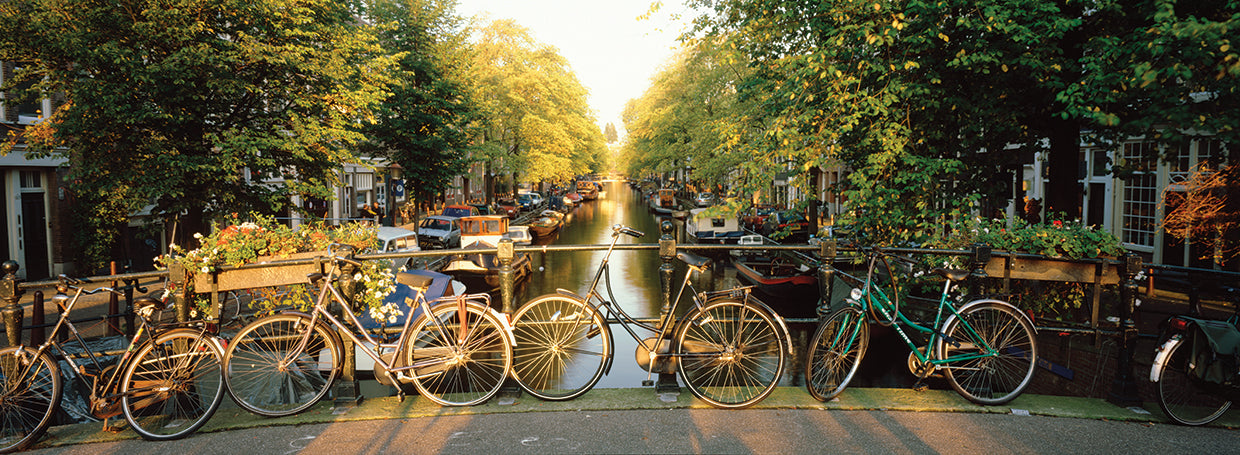 Dutch Bikes Bridge