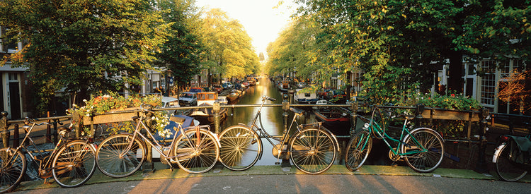 Dutch Bikes Bridge