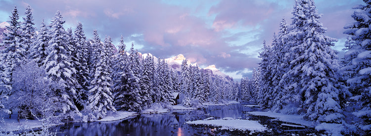 Alberta Winter Creek Lienzo