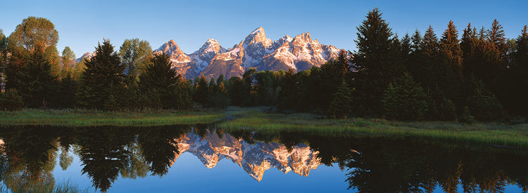 Reflexiones de Beaver Pond Lienzo