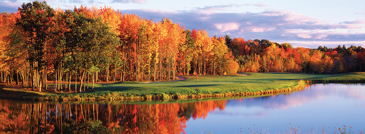 Fall Spectrum Reflections