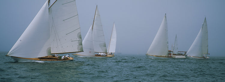 Regata de Rhode Island Lienzo