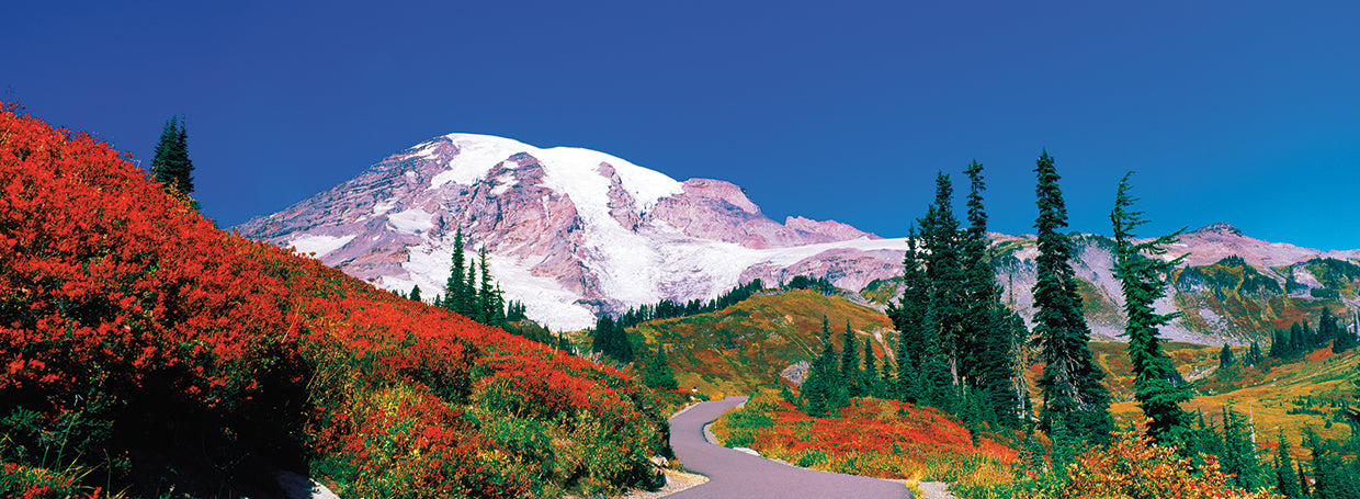 Monte Rainier Otoño Lienzo