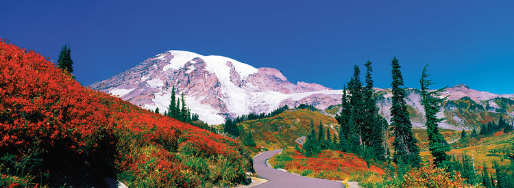 Monte Rainier Otoño Lienzo