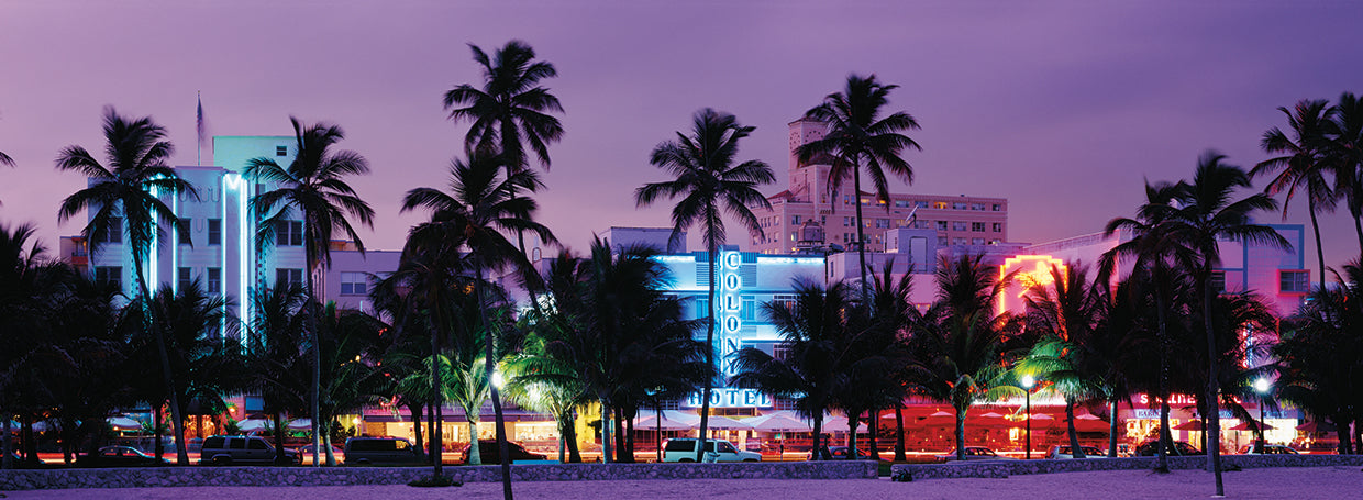 South Beach Palms