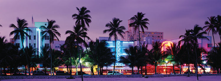 South Beach Palms