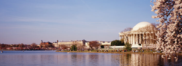 Recorrido histórico de DC Lienzo