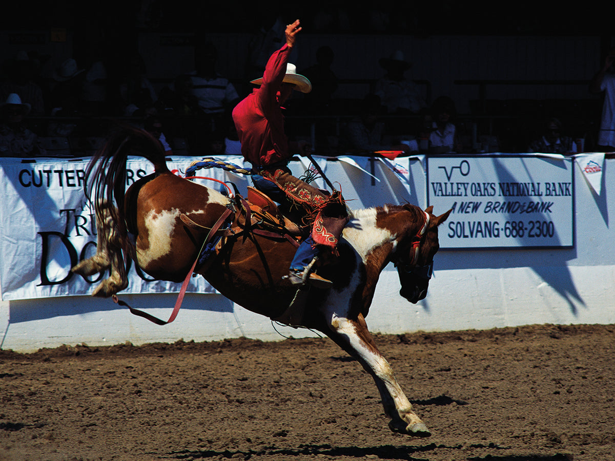 Panoramic Images's Western Rodeo Rider Canvas Art Prints | Fine Art Canvas