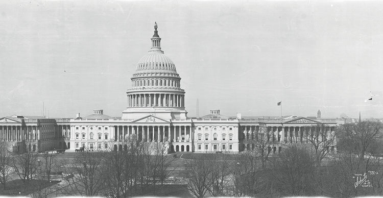 Capitolio de los Estados Unidos de la vendimia Lienzo
