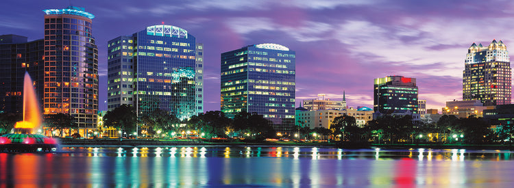 Orlando Fla Skyline