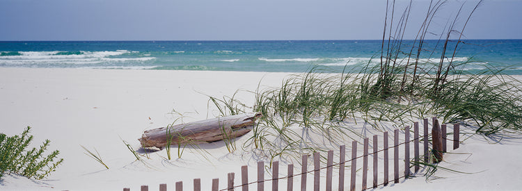 Playa ventosa de Alabama Lienzo