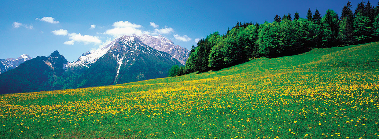 Primavera bávara Lienzo