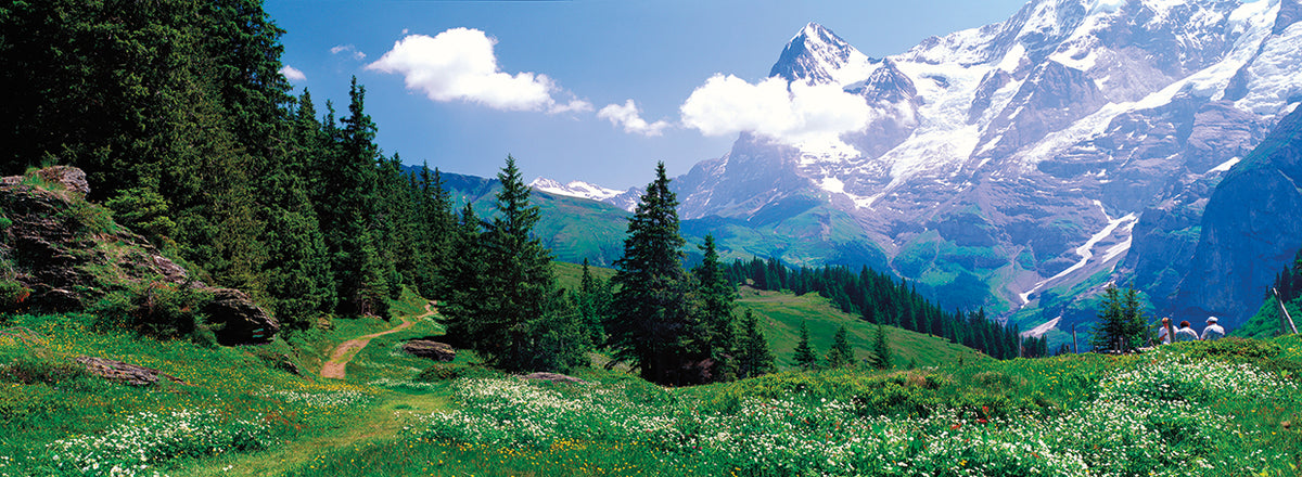 Swiss Alpine Meadow