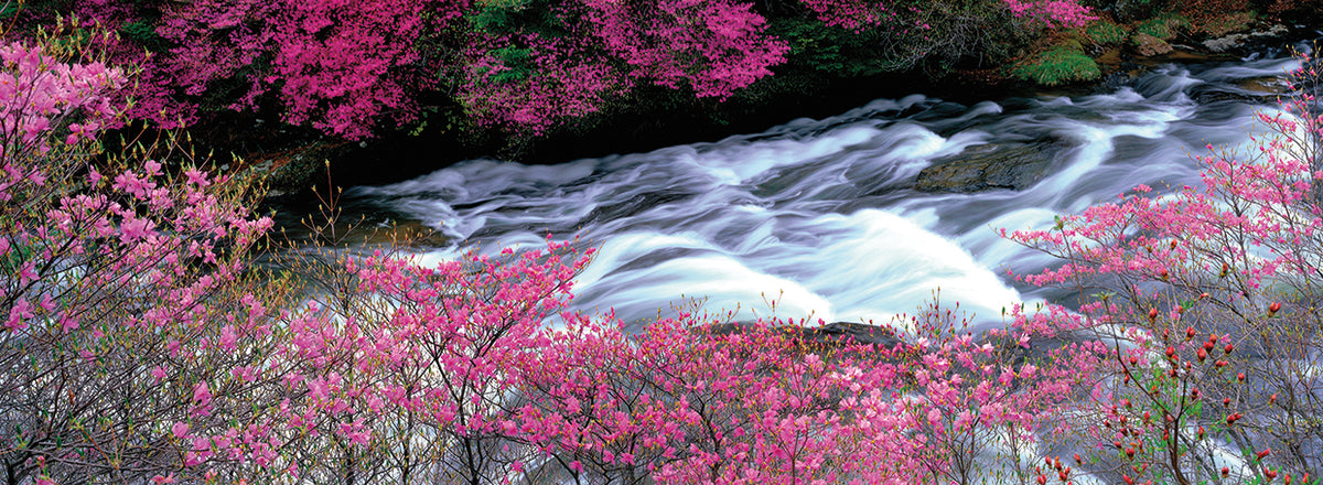 Ryuzu Falls Japan