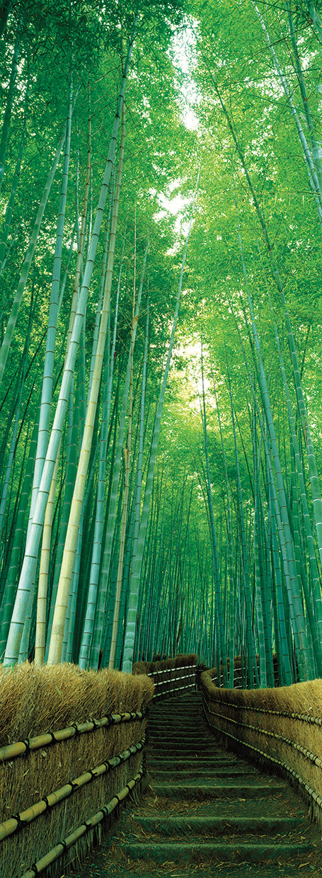 Bambo Forest Path