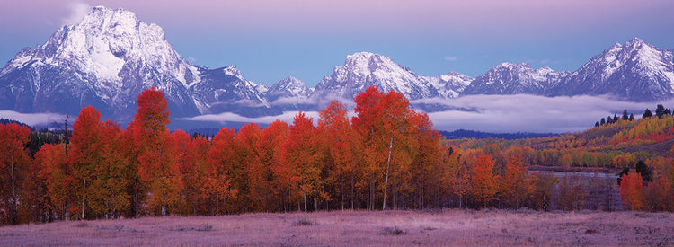 Changing Colors Tetons