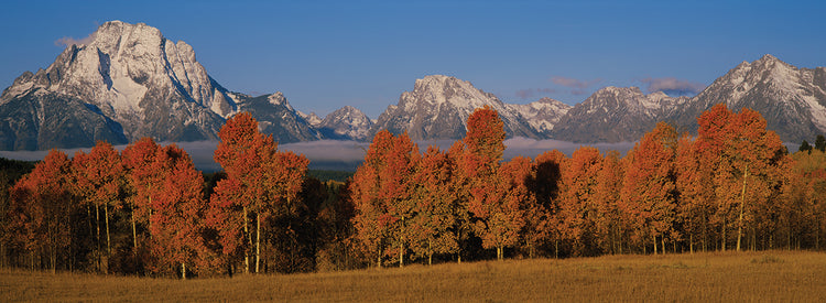 Pano Fall Tetons