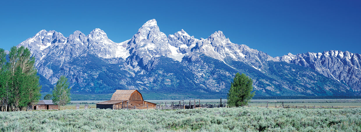 Sage Field Barn Tetons