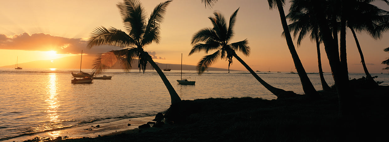 Sunset Sail Maui