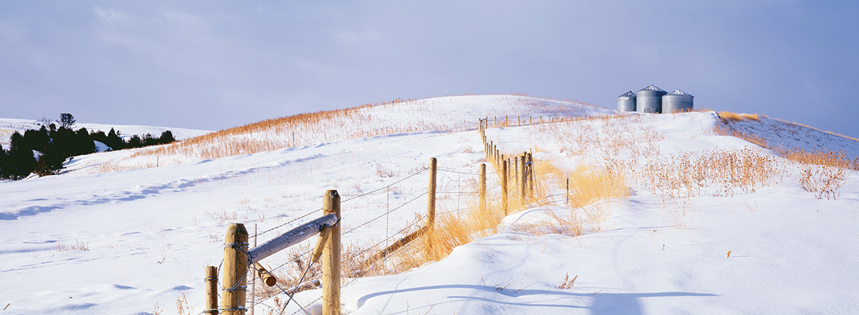 Snowy Montana Fence