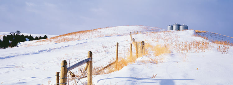 Snowy Montana Fence