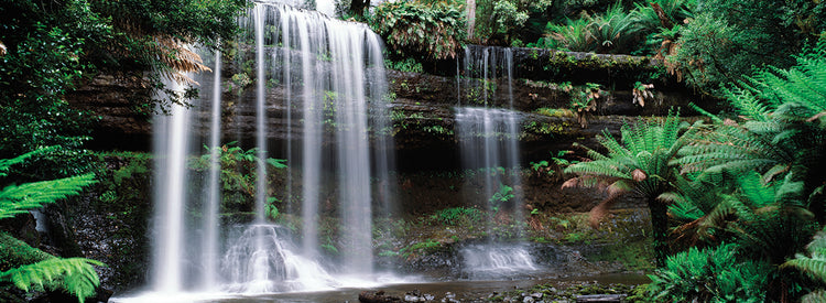 Cascadas de Tasmania Lienzo