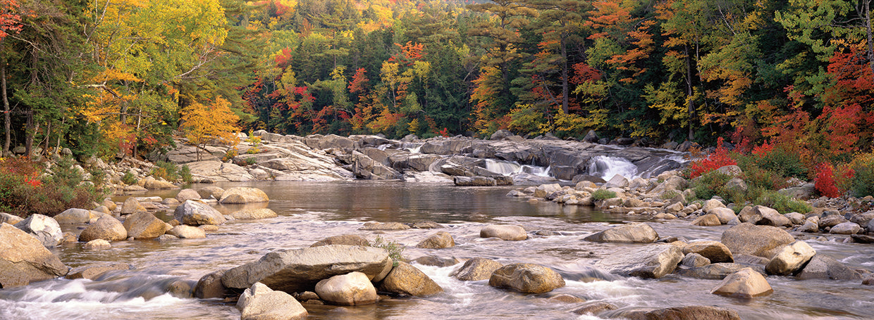 New England Autumn Brook