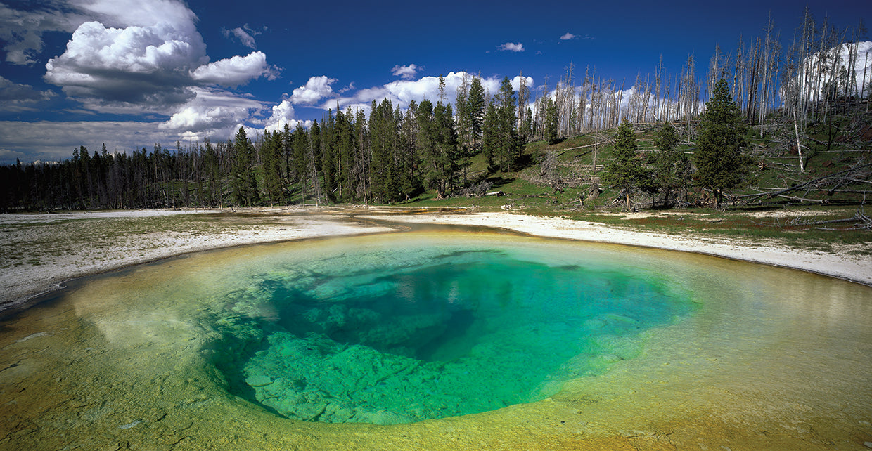 Teal Springs Yellowstone
