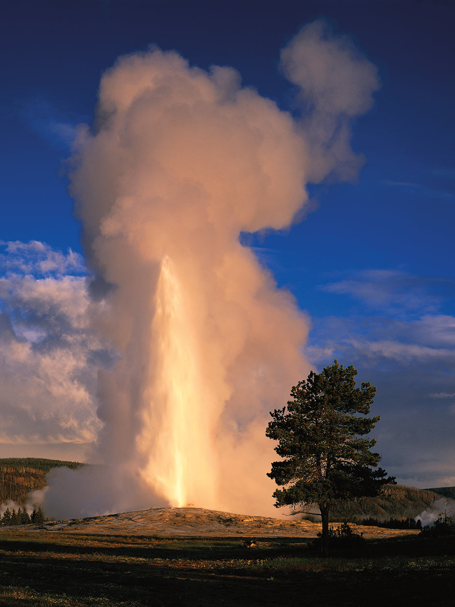 Yellowstone Old Faithful