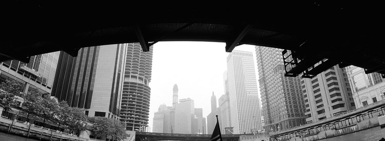 Chicago Below the Bridge