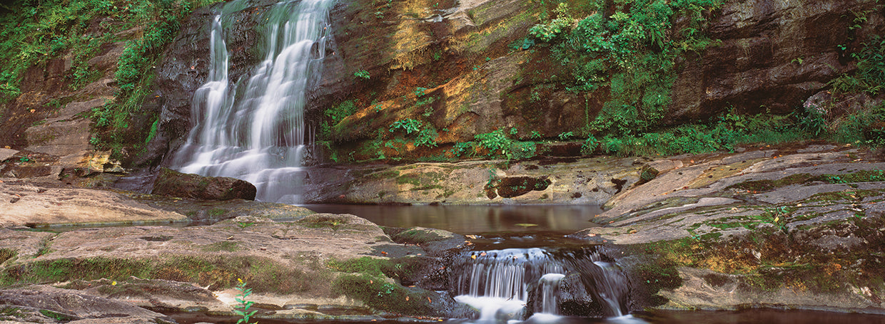 Cool Splash Forest Rocks