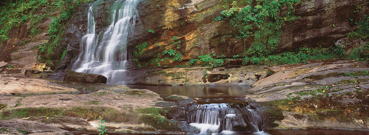 Cool Splash Forest Rocks