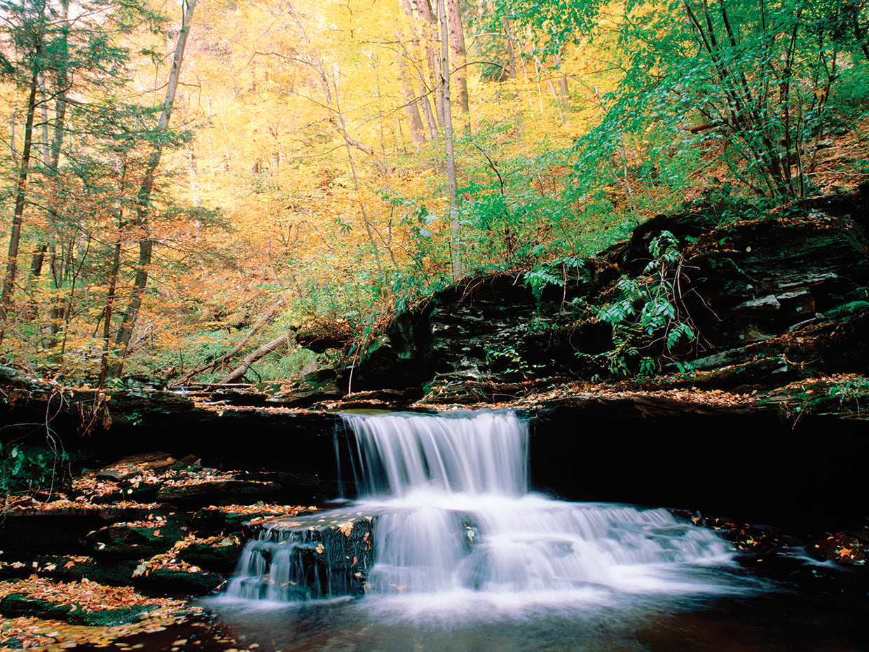 Quiet Colors Waterfall