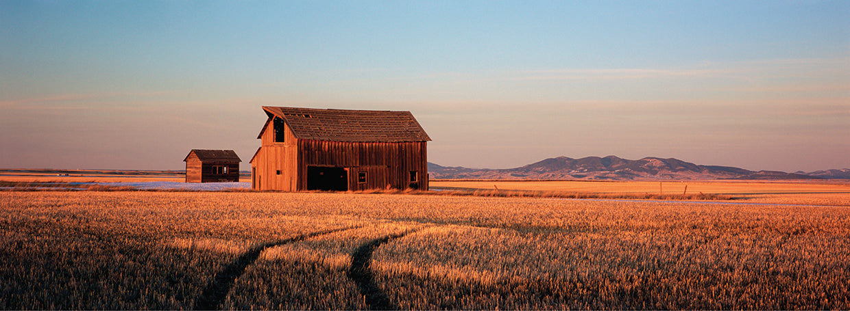 Montana Field Farm