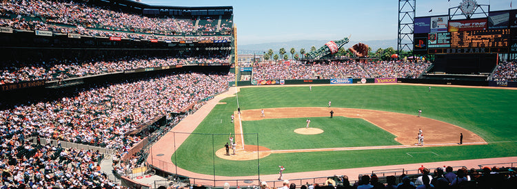 Estadio de San Francisco Lienzo