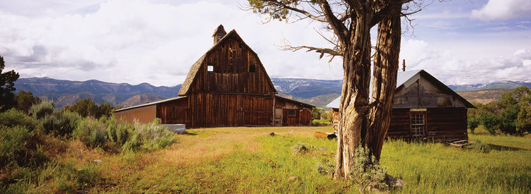 Big Barn Ranch Colorado