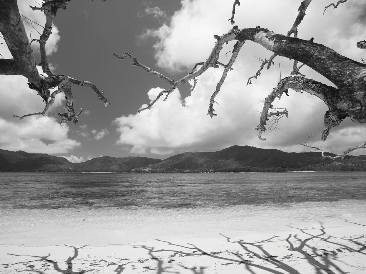Seychelles Beach Cove