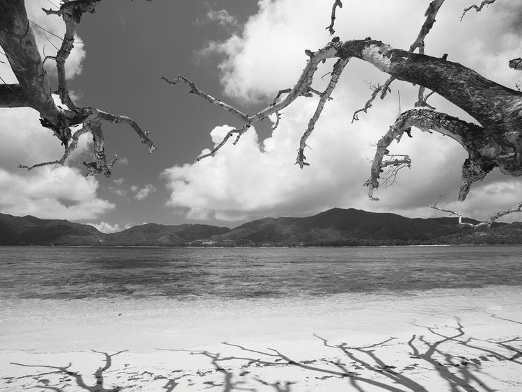 Seychelles Beach Cove