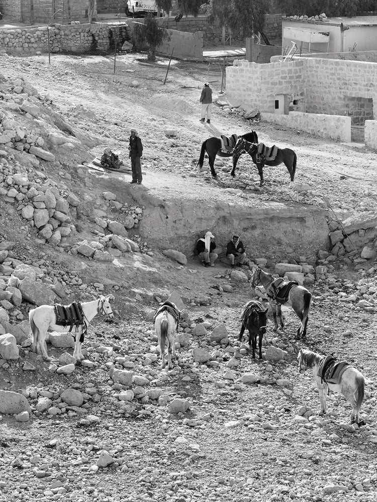 Ancient Desert Cowboys