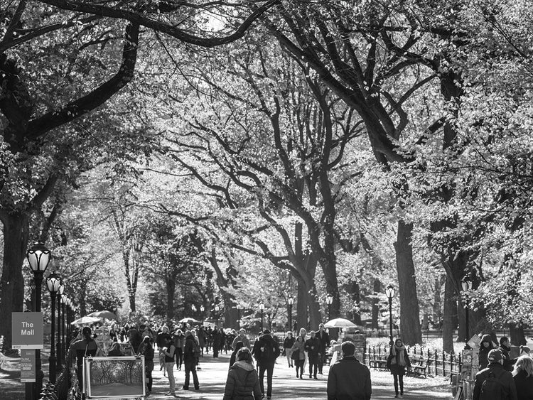 Central Park Walkers