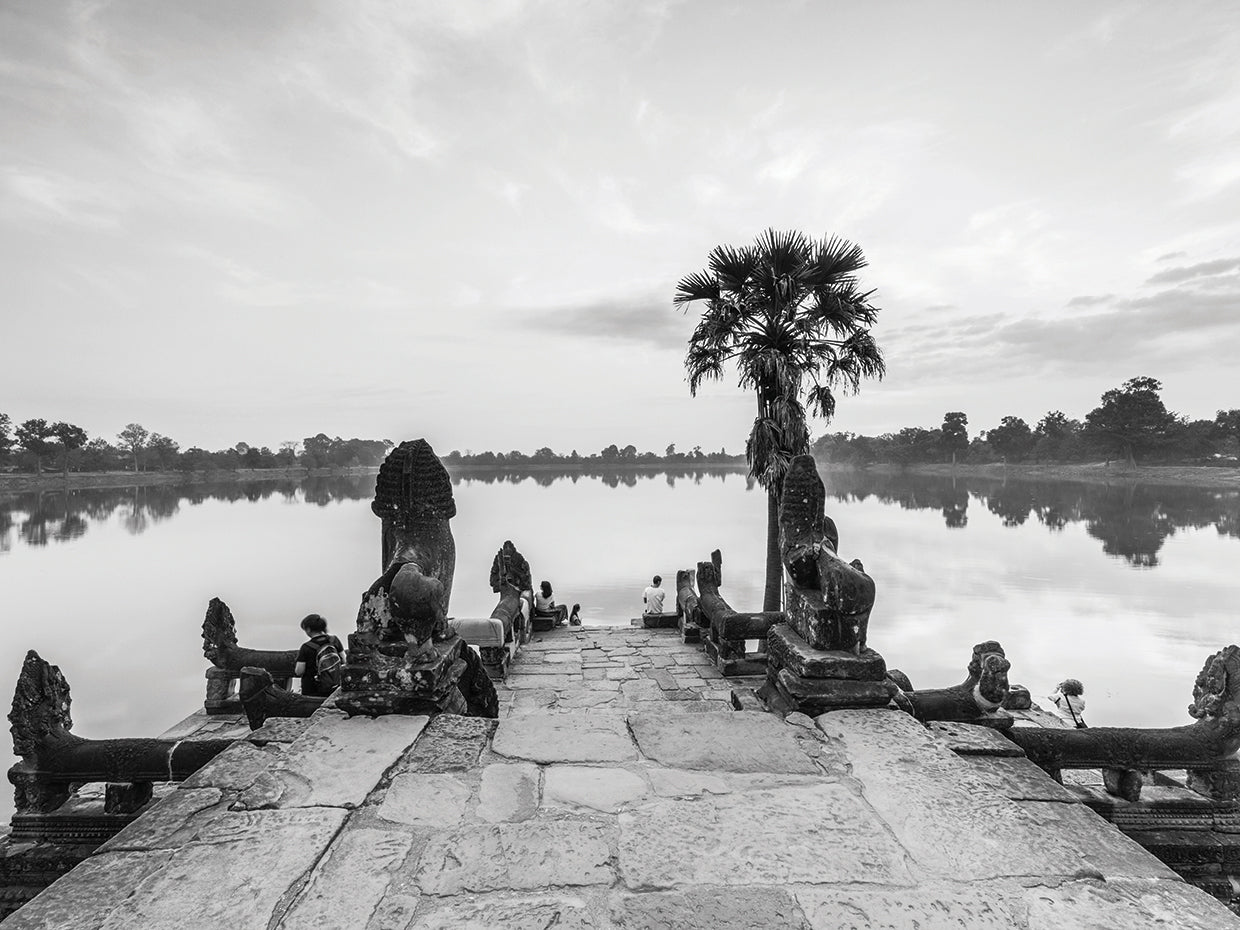 Cambodia Tropical Pond