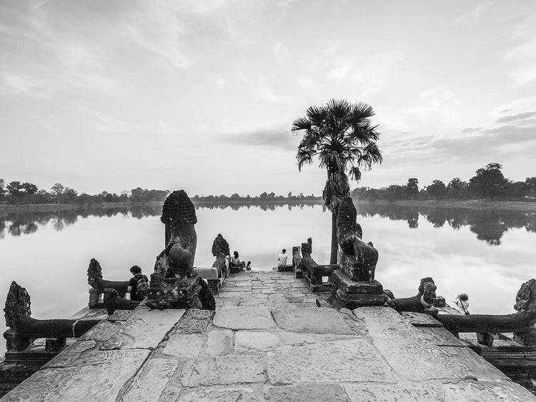 Cambodia Tropical Pond