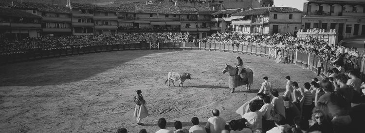 Spanish Bullfighting